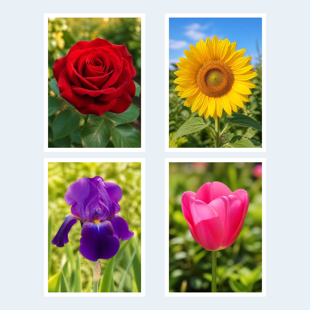 Garden Favorites pre-filled PhotoMatchFun matching cards