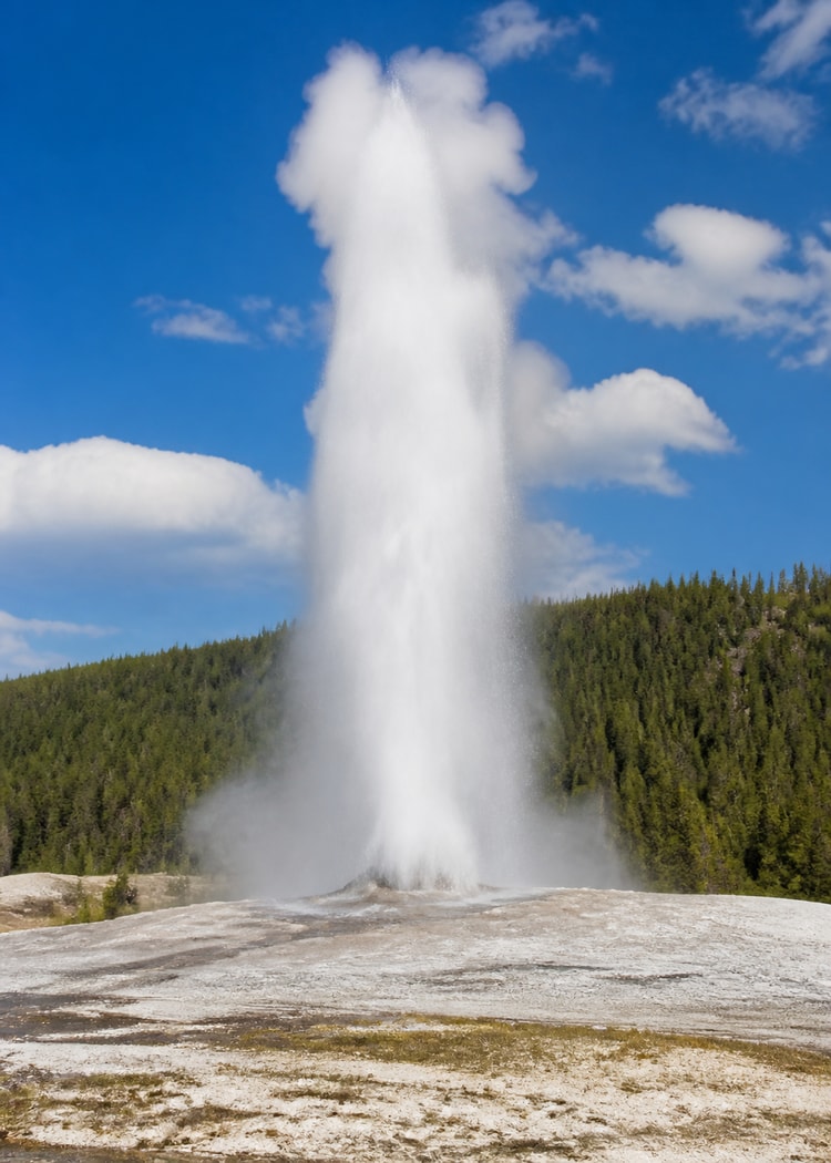 Yellowstone geyser