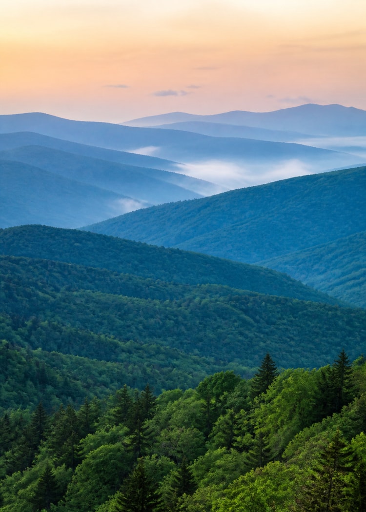 Great Smoky Mountains