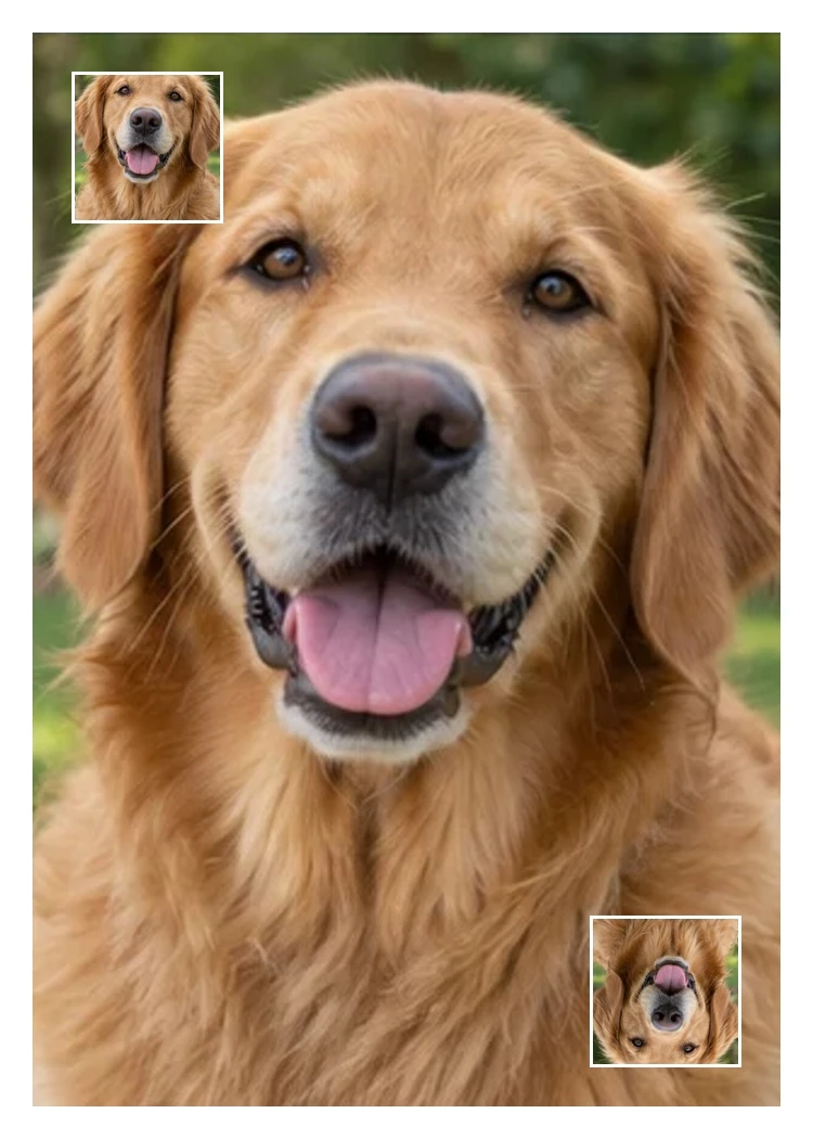 Example photo card 8, with white borders and matching corner photos